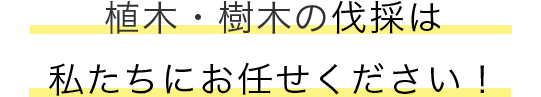 庭木・植木の剪定・刈込は 私たちにお任せください！